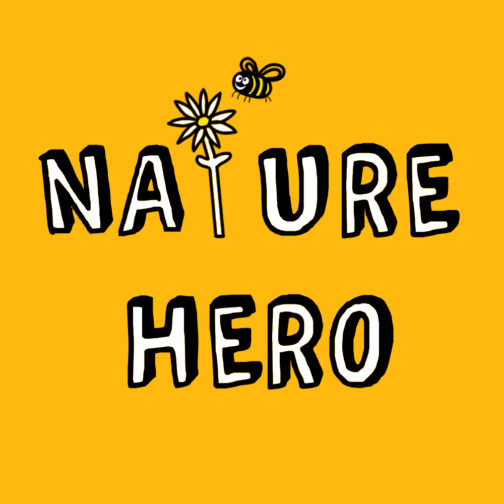 nature hero logo